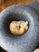 Load image into Gallery viewer, Donut Felt Cat Cave Pet Bed
