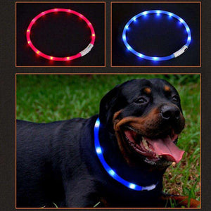 Glow in the Dark Silicone Dog Collar
