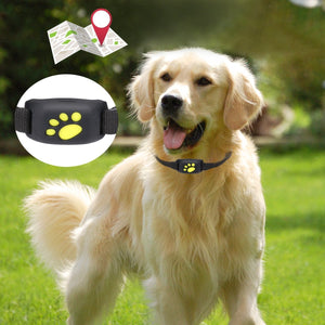 Pet GPS Tracker Locator Device