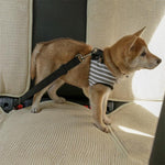 Premium Dog Car Seat Belt