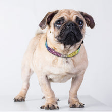 Load image into Gallery viewer, Crystal Rhinestone Reflective Dog Collar
