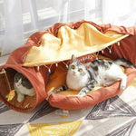 Collapsible Cat Bed with Tunnel