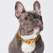 Load image into Gallery viewer, Cuban Link Dog Collar
