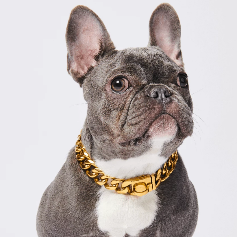 Cuban Link Dog Collar