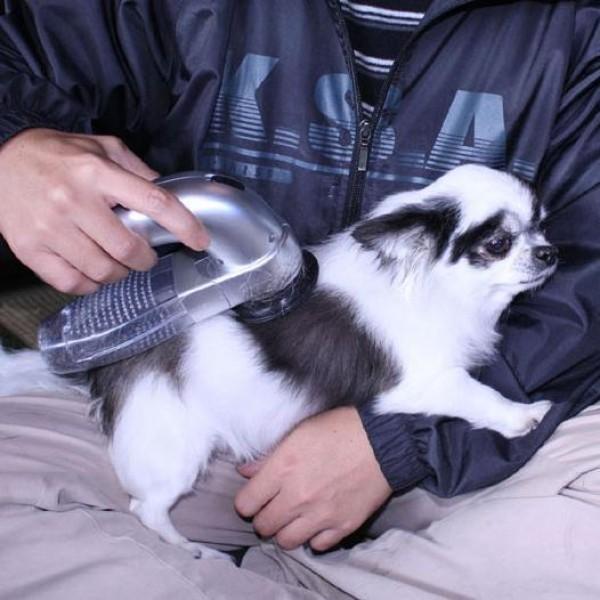 Pet Hair Vacuum - Cat Vacuum