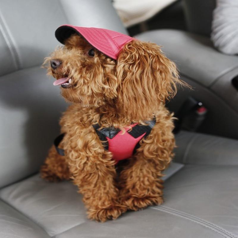Dog Baseball Cap with Ear Holes