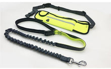 Load image into Gallery viewer, Handsfree Bungee Dog Leash with Waist Bag
