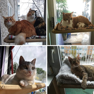 Window Mounted Cat Bed - Cat Hammock
