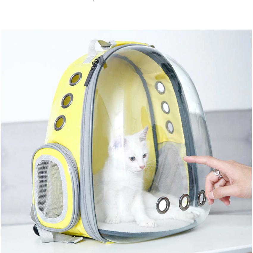 Full Transparent Capsule Cat Bag