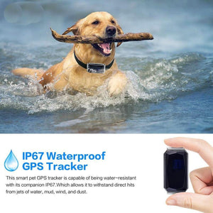 Waterproof Pet Collar GPS Tracker for Pets