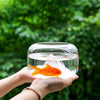 Mini Glass Fish Bowl