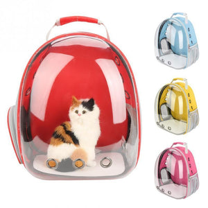 Full Transparent Capsule Cat Bag