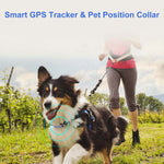 Pet Tracker - Waterproof GPS Collars For Dogs - Cat GPS